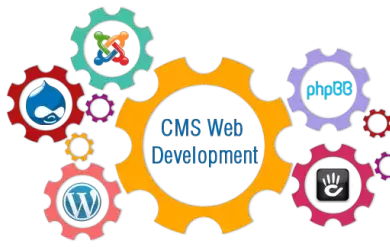 Importance of CMS Development Services