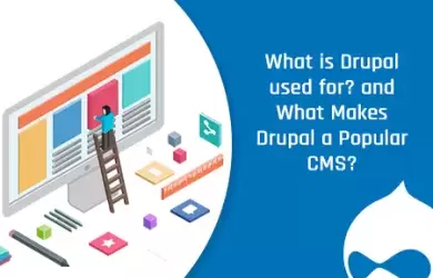 What Makes Drupal a Popular CMS