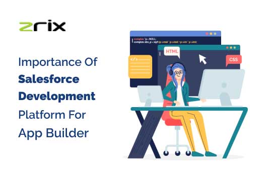 Salesforce Development Platform For App Builder